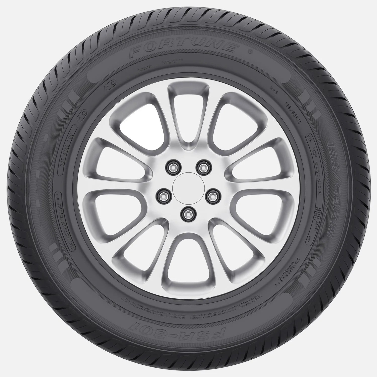 Fortune-FSR-801-3