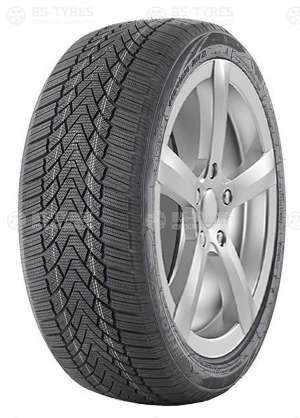 FronWay Icemaster I 225/45 R19 96V