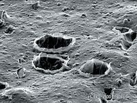 ig30 шарообразные пузырьки